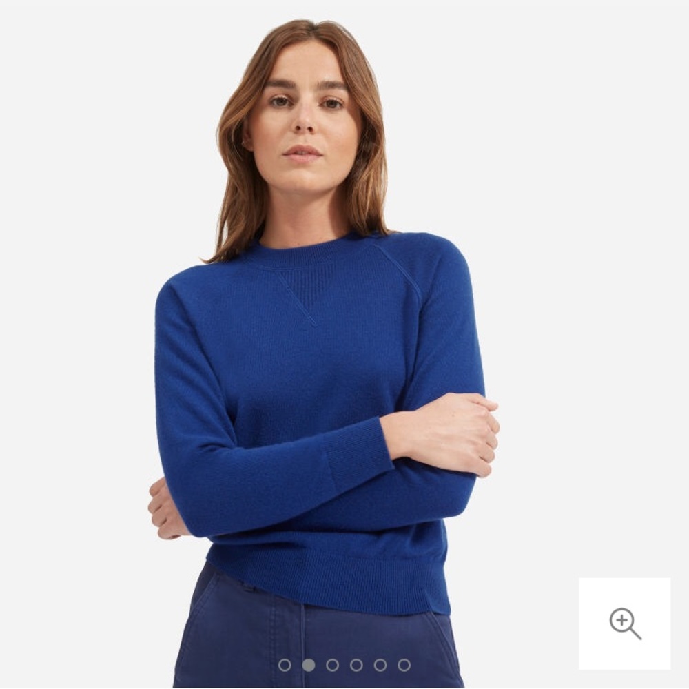 Everlane cashmere shrunken sweatshirt